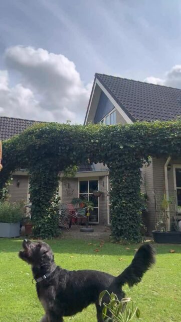 Morgen hebben de Costumières-in-opleiding weer les 🥳 dus deze juf moet nog even aan de bak met een flinke stapel huiswerk, en dit is pas de helft 🫣🫣

@danckaertsmodevakscholen #danckaertsmodevakschool #modevakschool #danckaerts #opleiding #costumiere #costumiereinopleiding  #costumier #costumiereopleiding #coupeuse #coupeur #kleermaker #kledingmaken #naailes #naaicursus #sewlikeapro #lerares #oplesbijstudiodotter #teamstudiodotter #sewist #sewistsofinstgram #sewista 
#naaimachine #naaienvoorbeginners #naaienvoorgevorderden #naaieniship #naaienisleuk #heelnederlandnaait #instasew
